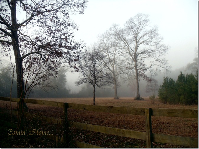 One Misty, Moisty Morning... Comin' Home